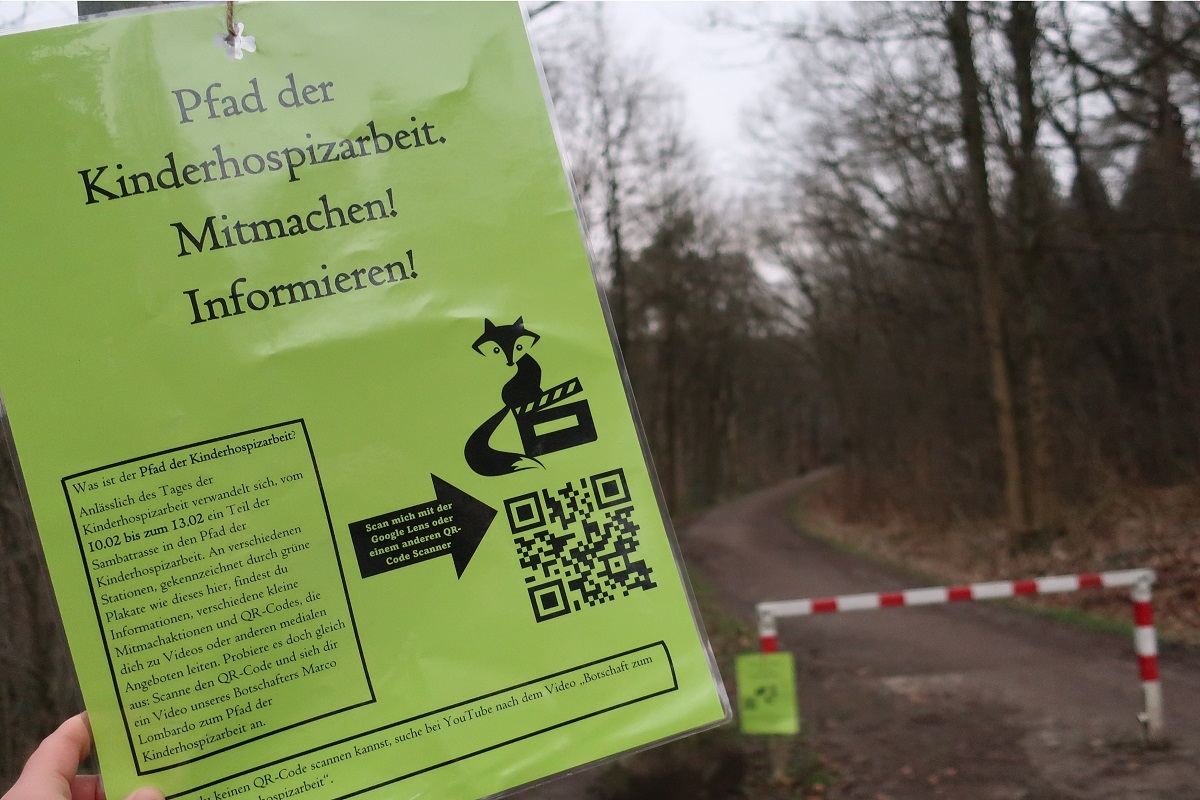 Bild11